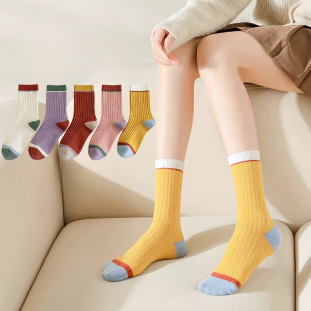 5켤레SET 버블팝컬러중목양말 여성용